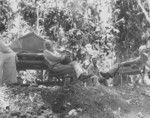 Generals Thomas Holcomb and Alexander Vandegrift on Guadalcanal, Solomon Islands, 1942