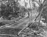 A temporary bridge built with amphibian tractors as floats, Guadalcanal, Solomon Islands, 1942