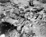 Dead prisoners of Mittelbau-Dora Concentration Camp on barracks floors as discovered by members of US 1st Army, Nordhausen, Germany, 11 Apr 1945