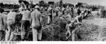 Prisoners of Sachsenhausen concentration camp performing manual labor, Oranienburg, Germany, 1936, photo 2 of 2