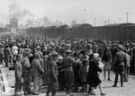 Carpatho-Ruthenian Jews being processed upon arrival at Auschwitz-Birkenau camp, Poland, May 1944