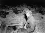 A French Jew at a subcamp of the Mittelbau-Dora Concentration Camp, Nordhausen, Germany, Apr 1945