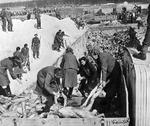 Female SS guards made to bury victims of the Bergen-Belsen Concentration Camp, Germany, 28 Apr 1945