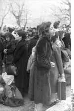 Jewish women being rounded up, Ioannina, Greece, 25 Mar 1944