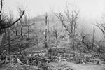 View of Garrison Hill after battle, near Kohima, India, Apr-May 1944