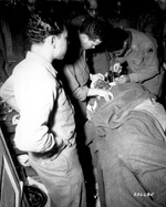 African-American Capt Ezekia Smith of 370th Regt of US Army 92nd Infantry Division being treated at the 317th Collecting Station for shell fragments to the face, Pietrasanta area, Italy, 10 Feb 1945