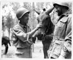 Japanese-American soldier of 522nd Field Artillery, US 442nd Regimental Combat Team with a soldier of Italian 11th Pack Mule Company, Castellina Sector, Italy, 12 Jul 1944