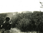 Japanese-American soldier of 100th Infantry Battalion, US 442nd Regimental Combat Team firing his M1 Garand rifle at a suspected German sniper position, Montenero area, Italy, 7 Aug 1944