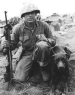 US Marine Private Francis Hall and his Doberman war dog, Iwo Jima, Japan, Mar 1945