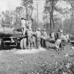 Men loading cut timber onto a truck, Jerome War Relocation Center, Arkansas, United States, 18 Nov 1942, photo 3 of 3
