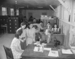 Placement Officer W. C. Love with his office staff, Jerome War Relocation Center, Arkansas, United States, 18 Nov 1942