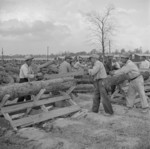 Woodcutting at Jerome War Relocation Center, Arkansas, United States, 17 Nov 1942, photo 2 of 2