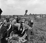25-pdrs guns of 430th Battery of the British 55th Field Regiment supporting British Guards Armoured Division in the bridgehead over the Meuse-Escaut Canal, Hechtel, Belgium, 16 Sep 1944, photo 1 of 2