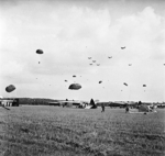 British paratroopers of 1st Airlanding Reconnaissance Squadron on the ground gathering their parachutes, Arnhem, Gelderland, the Netherlands, 17 Sep 1944