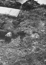 Killed Chinese boy near Nanjing, China, Dec 1937-early 1938; it was said that he was killed by rifle butt blow because he did not remove his hat before Japanese soldiers
