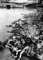 Dead Chinese piled on the shore of the Yangtze River, Nanjing, China, Dec 1937