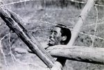 Head of a Chinese man who was decapitated by Japanese placed on a barricade near Nanjing, China, 14 Dec 1937