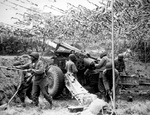 US Army African-American soldiers setting up a 155mm howitzer in France, 28 Jun 1944