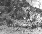 US Marines PFC Lester Walker, Corporal Francis Penrodk, and PFC Frank Bondelk patrolling southern Okinawa, Japan with war dogs Zingo, Jack, and Major, Jun 1945