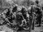 US Navy African-American construction batalion personnel acting as stretcher bearers for the US 7th Marine Regiment, Peleliu, Palau Islands, Sep 1944