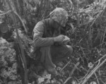 USMC war dog handler reading a message that his dog had just delivered, Peleliu, Palau Islands, Sep 1944