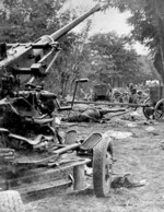 Polish Bofors anti-aircraft gun abandoned after the column was attacked by German aircraft, Battle of Bzura, Poland, Sep 1939