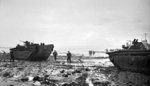 LVT Buffalo amphibians during the invasion of Walcheren Island, the Netherlands, 1 Nov 1944