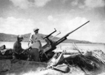 Men of Battery F, 70th Coast Artillery of the US Army manning a 37-mm anti-aircraft gun at Wickham Anchorage, New Georgia, Solomon Islands, 1943