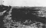 Photo taken at or near the planned Reigaryo Airfield site, Takao, Taiwan, 1933, photo 4 of 5