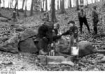 Hitler Youth members camping, 1930s