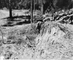 Japanese-American recruit of US 442nd Regimental Combat Team taking cover during field exercises at Camp Shelby, Mississippi, United States, 6 Aug 1943