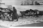 German soldier with a horse-drawn sled near Orel, Russia, Dec 1941-Jan 1942