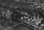 Funeral procession of Douglas MacArthur on Constitution Avenue, Washington DC, United States, 8 Apr 1964