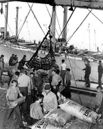 Essex received provisions via highline from USS Mercury (AK-42), off Okinawa, 27 Apr 1945