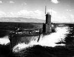 Port bow view of USS Tunny, off US Territory of Hawaii, mid-1953