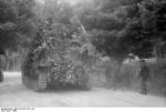 Camouflaged German Army Hornisse/Nashorn tank destroyer, Italy, 1944, photo 1 of 2