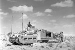 Matilda Scorpion flail tank, North Africa, 2 Nov 1942