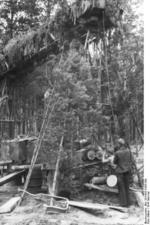 Repairing Tiger I heavy tank no. 912 in Russia, summer 1944; note camouflaged crane