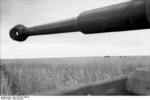 View of a field near Kursk, Russia, summer 1943; note gun of a PzKpfw VI Tiger I heavy tank