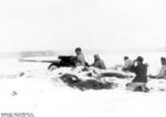 7.5 cm PaK 40 anti-tank gun in the wintry terrains of Russia, Jan 1944