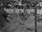 Japanese troops in exercise, date unknown