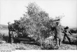 Camouflaged German 3.7 cm Flakzwilling 43 anti-aircraft mount, northern France, Jul-Sep 1943, photo 2 of 2