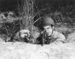 US Marine Private Harry Weber in exercise with his pet fox Rusty, Quantico, Virginia, United States, 14 Oct 1943