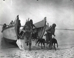 US Marines and war dogs practicing amphibious landing, Camp Lejeune, Jacksonville, North Carolina, United States, circa 1943