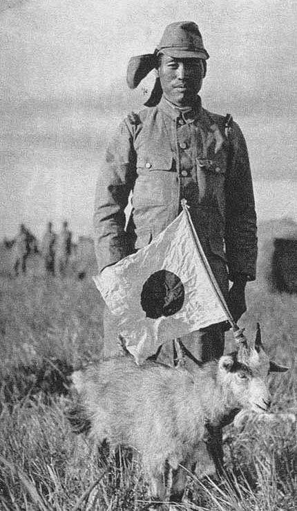 Japanese Army soldier having just tied a Japanese flag to the horn of a goat, circa 1940s