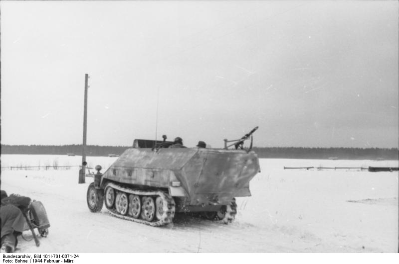 SdKfz. 251 halftrack vehicles in snowy terrain, northern Russia, Feb 1944, photo 2 of 2