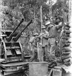 General Thomas Blamey and Brigadier David Whitehead inspecting a captured Japanese Type 96 25mm anti-aircraft gun, Essex Ridge, Tarakan Island, Borneo, 8 May 1945