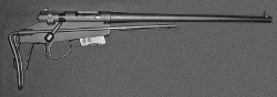 M4 Survival Rifle file photo [22150]