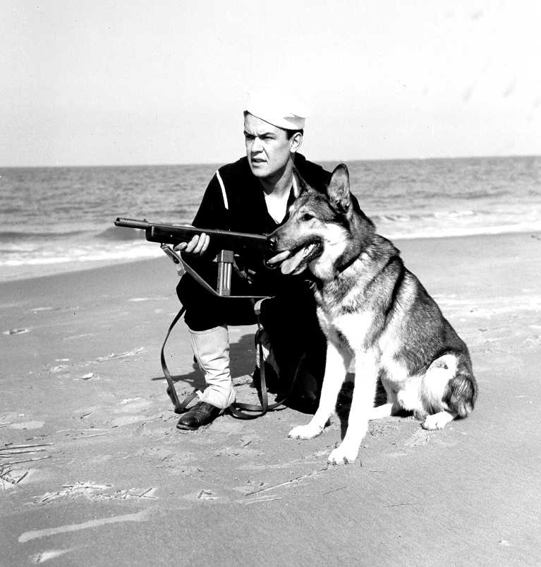 United States Coast Guardsman with M50 Reising submachine gun and dog on a beach in the United States, circa 1941-1945